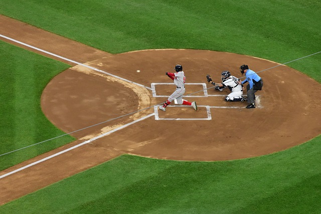 它的背後又 它的背後又