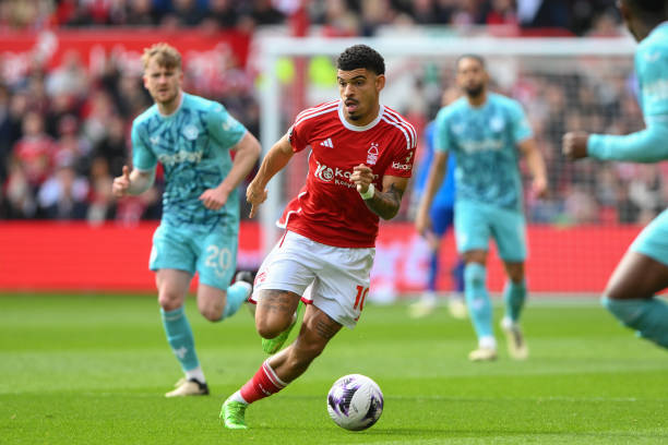 哈维深知轮 哈维深知轮